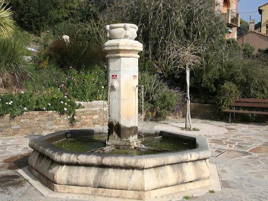 183 D24 BORMES LES MIMOSAS 2_000024.jpg